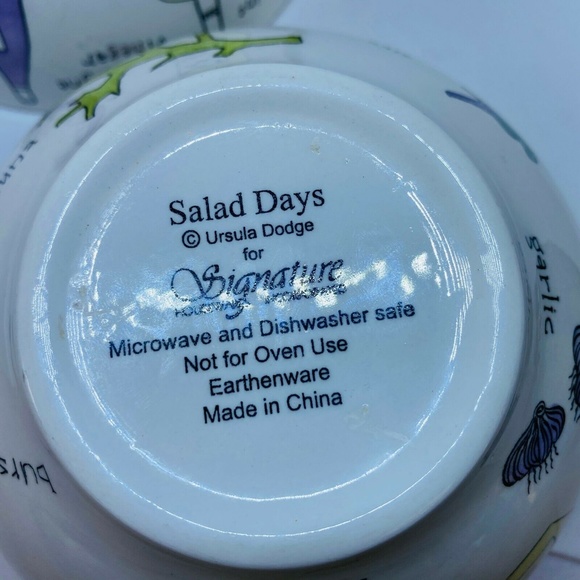 Set of 2 Signature SALAD DAYS Porcelain Salad Bowl - Picture 8 of 8